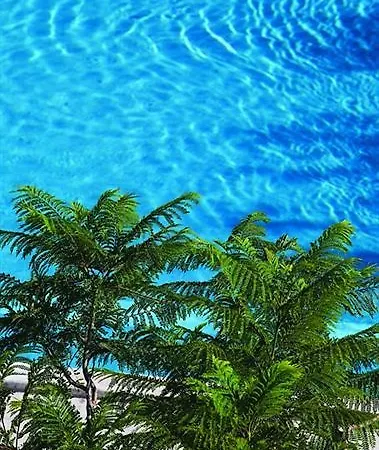 Zeus Hotel Icmeler