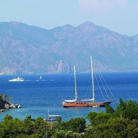 Zeus İçmeler
